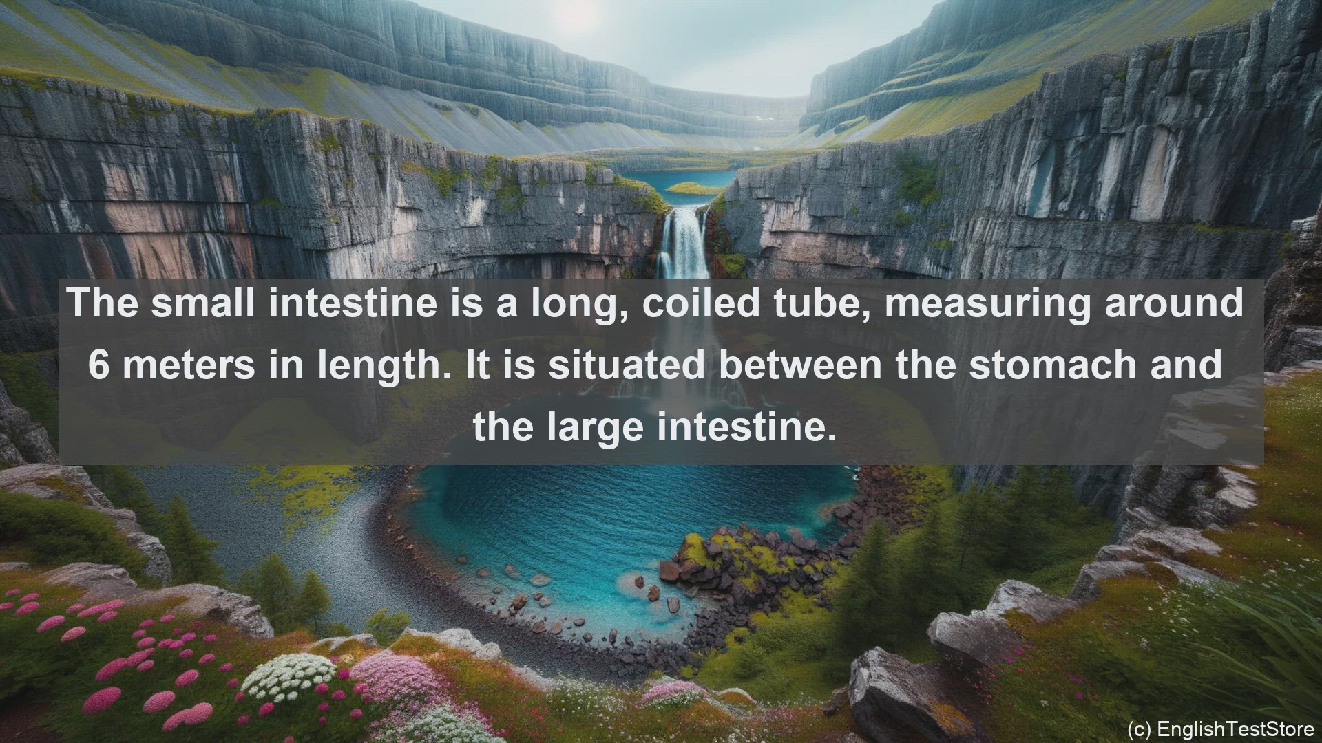 'Video thumbnail for Small intestine in science  definition and examples'