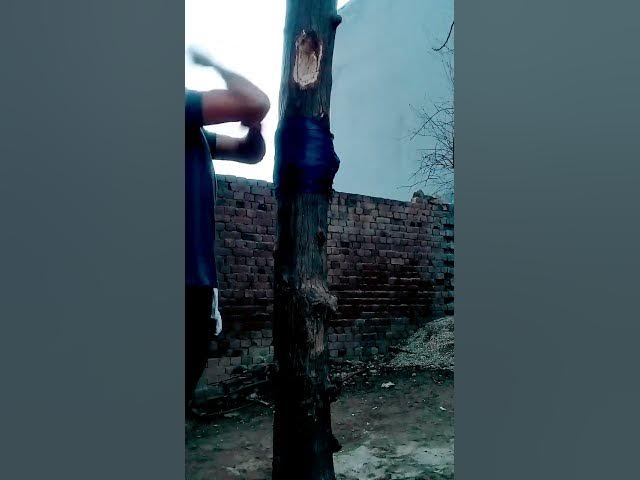 Video thumbnail for Gym boy hard work #foryou #viralshort ##gym #foryou #fyp